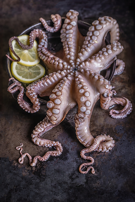Whole Octopus and Lemon in an Ice Bowl, by Cavan Images / Sara Ghedina