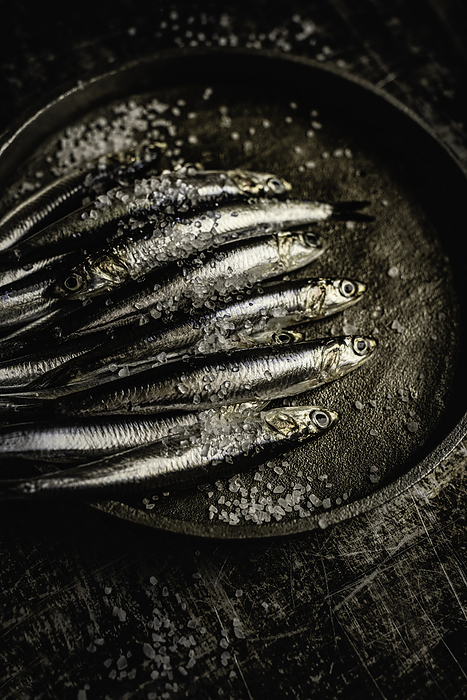 Raw Sardines and Salt in a Plate, by Cavan Images / Sara Ghedina
