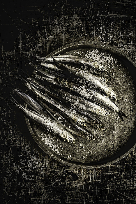 Raw Sardines and Salt in a Plate, by Cavan Images / Sara Ghedina
