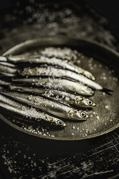 Raw Sardines in a Plate, by Cavan Images / Sara Ghedina
