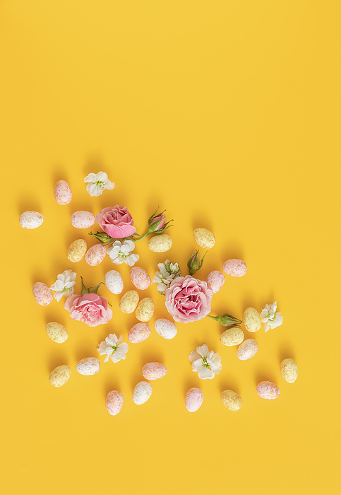 Vibrant Easter Egg and Flower Arrangement On yellow background, by Cavan Images / Galigrafiya