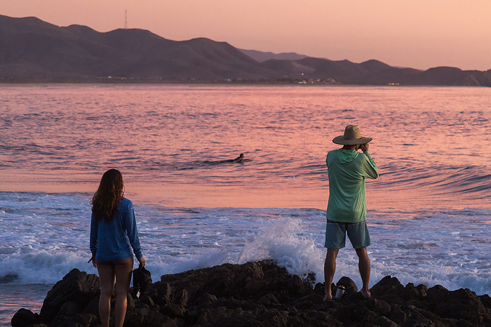 A man takes a photo of surfers at sunset., by Cavan Images / Michael Hanson