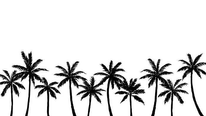 Palm Tree Silhouette Background