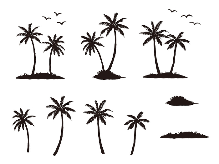 Silhouette of palm tree