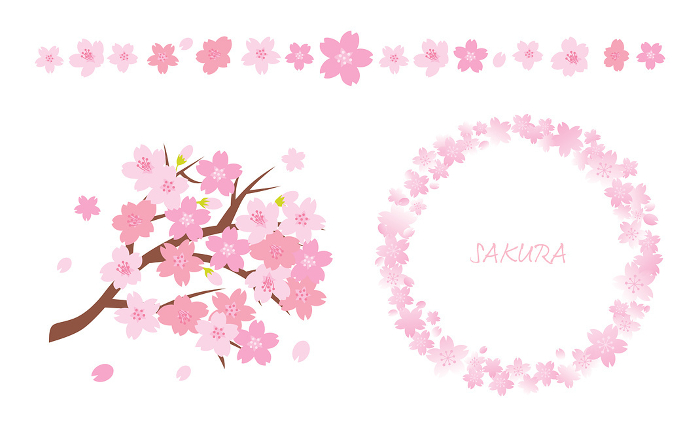 Cherry Blossom Frames Web graphics