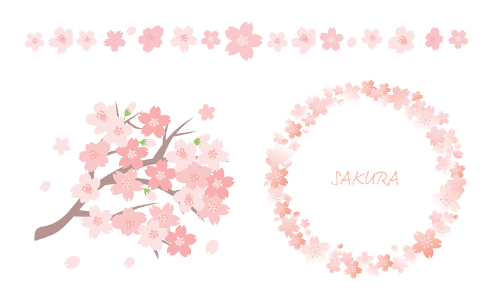Cherry Blossom Frames Web graphics