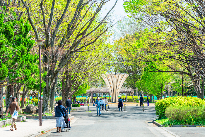 Tokyo Akatsuka Park in Spring