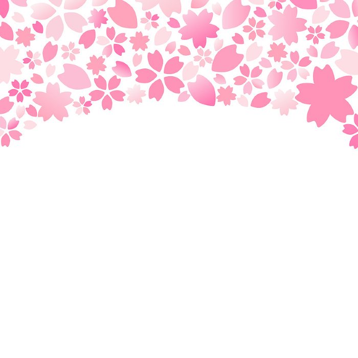 Vector background illustration of Japanese-style Sakura frame on white background [square].