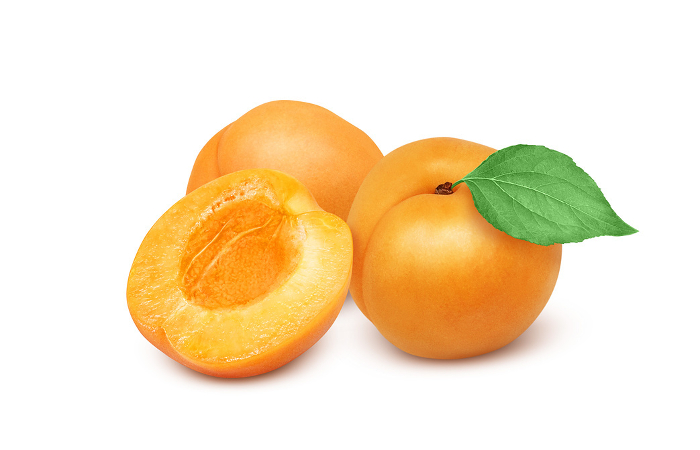 Clip art of apricot Real