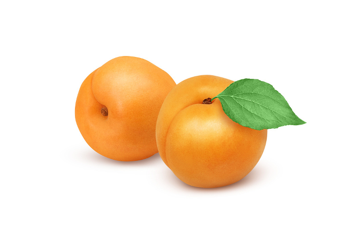 Apricot Illustration Realistic