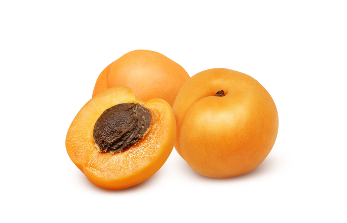Clip art of apricot Real