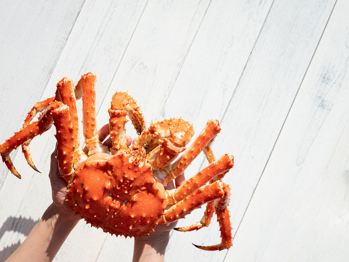 King crab on hand