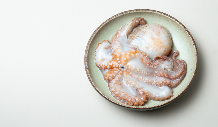 Fresh raw octopus