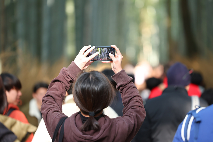 Crowded with tourists in Kyoto A Foreign tourist takes picture of Bamboo Forest in Arashiyama, Kyoto Prefecture, Japan, March 22, 2024.  Photo by Yohei Osada AFLO 