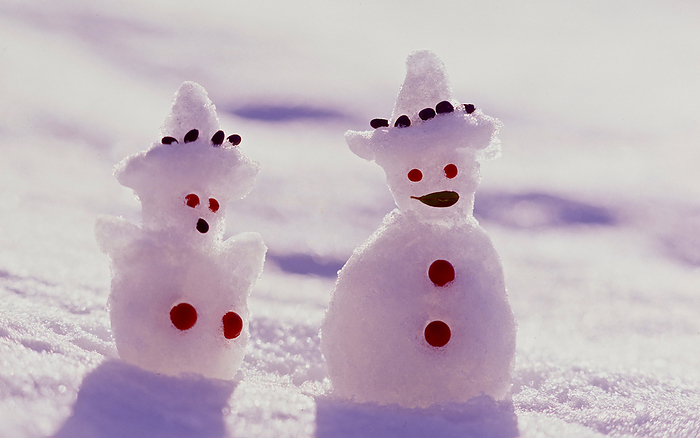 Cute snow dolls