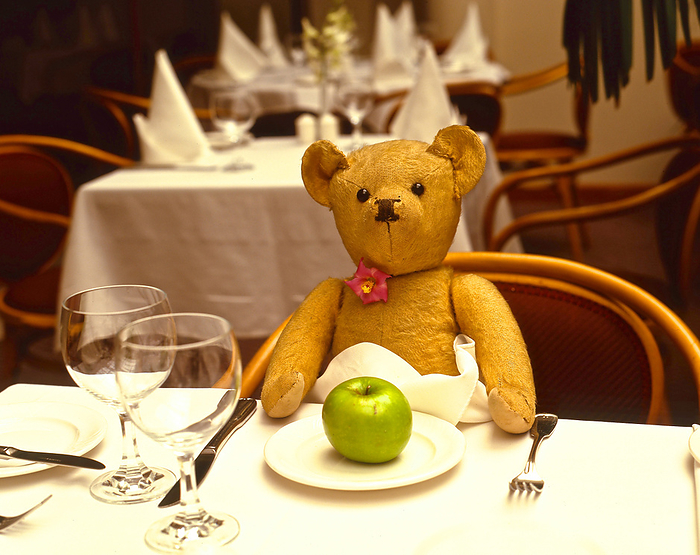 Teddy Bear at the table