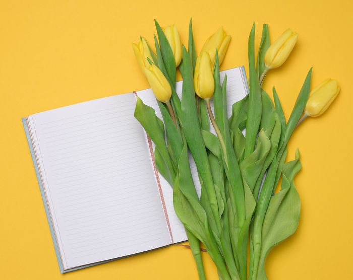Open notebook with white blank sheets and a bouquet of yellow tulips on a yellow background, top view Open notebook with white blank sheets and a bouquet of yellow tulips on a yellow background, top view