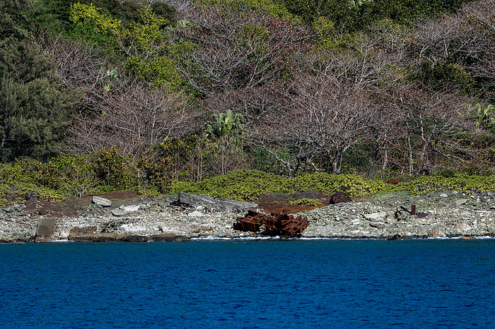 Ruins of Whaling Base, Ogasawara, Ogasawara Island Ruins of the base at Taki no Ura on Brother Island where whales were dismantled.