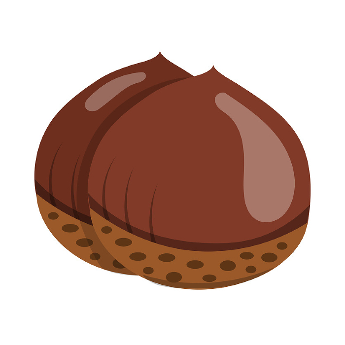 clip art of two chestnuts