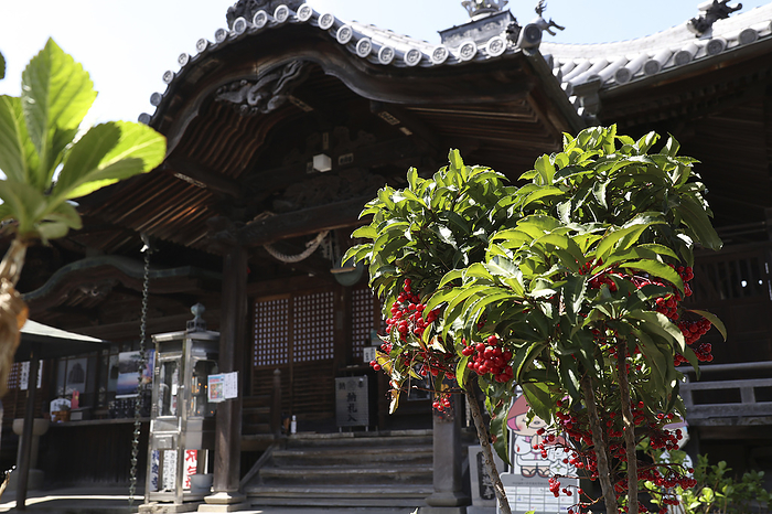 Dashido and Manryo at No. 73 De shaka Temple 88 sacred places in Shikoku