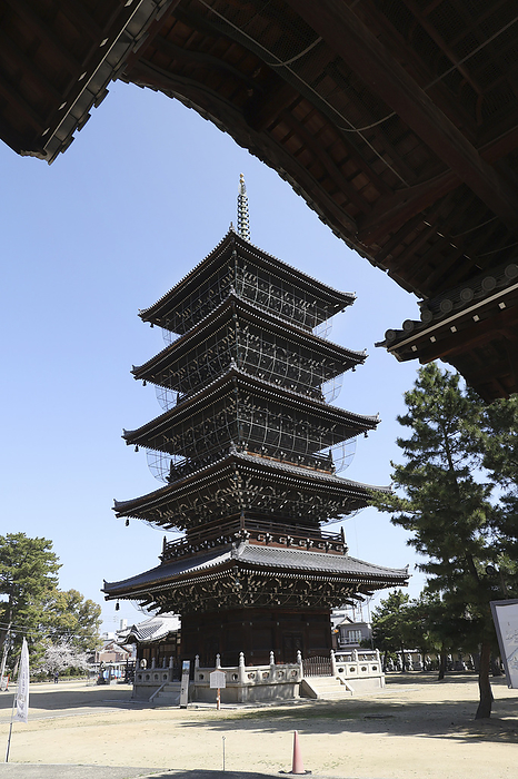 The five story pagoda of Zentsuji Temple No. 75 The 88 sacred sites of Shikoku, the head temple of the Zentsuji school of Shingon Buddhism, and the birthplace of Kobo Daishi Kukai