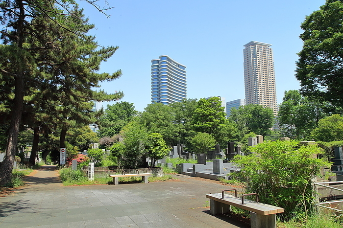 Aoyama Cemetery, Tokyo