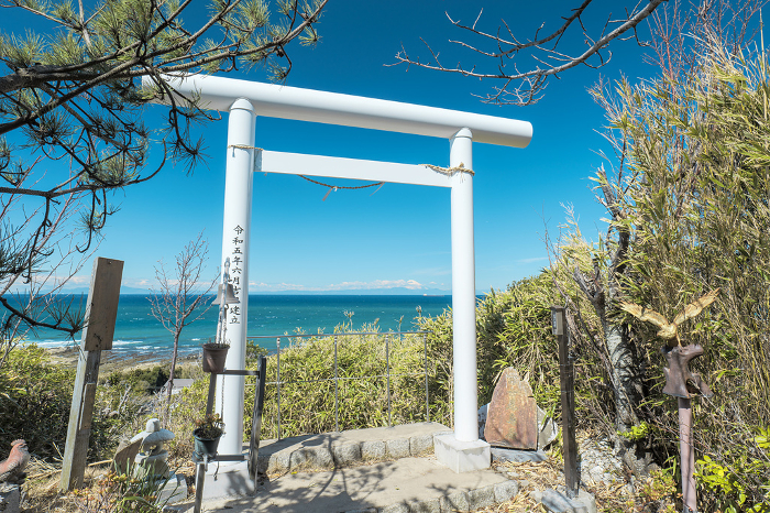 Torii at Fuji Harvesting Observatory, Suzaki Shrine, Tateyama, Chiba, March