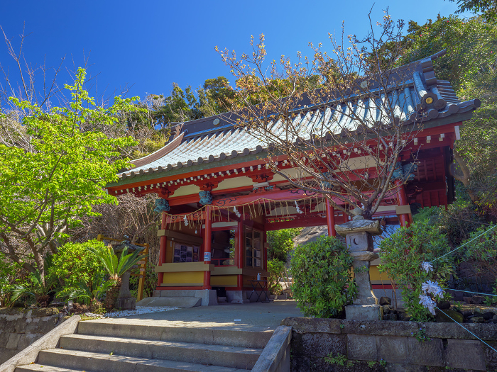 Zuijimon Gate of Suzaki Shrine Tateyama City, Chiba Prefecture