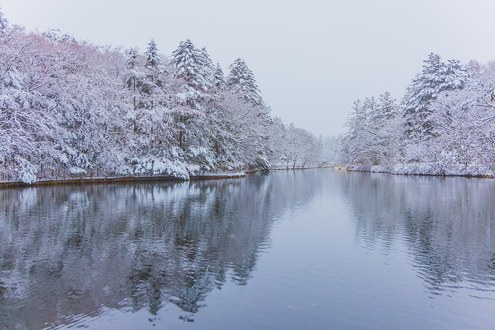 Unba Pond Karuizawa Town, Nagano Prefecture