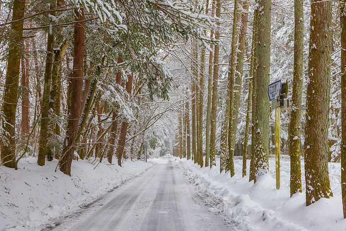 Snowy road Karuizawa Nagano