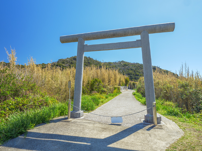 The first torii (Hamatorii) and Mt. Mitarai in spring at Suzaki Shrine, Tateyama City, Chiba Prefecture