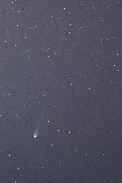 Astrophotography Comet Pons Brooks 12P Pons Brooks Taken on March 29, 2024 Location Kyotango City, Kyoto Prefecture, Japan 