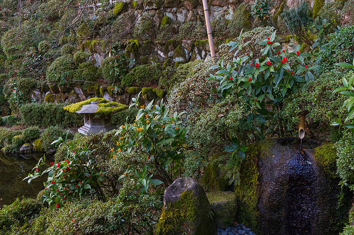 Senryo-colored garden at Seinan-in Temple, Taima-ji, Nara Prefecture