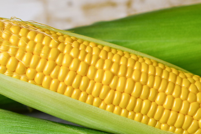 Close-up of fresh corn