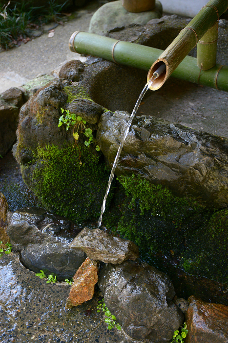 Fresh water from the Tezumisha at the Hyuga Grand Shrine Hinooka, Yamashina-ku, Kyoto City