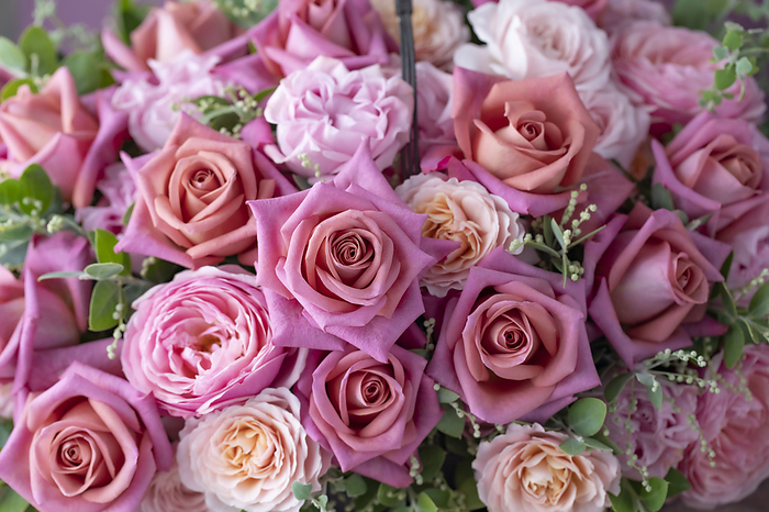 Rose Arrangement Roses  Cafe Crema, Gentle Flowers, Lirica, Fairy Kiss 
