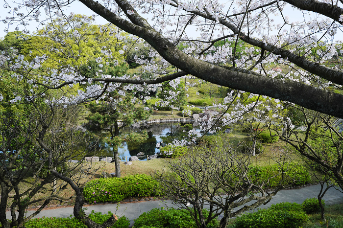 Scenery of Yoshino Park welcoming spring