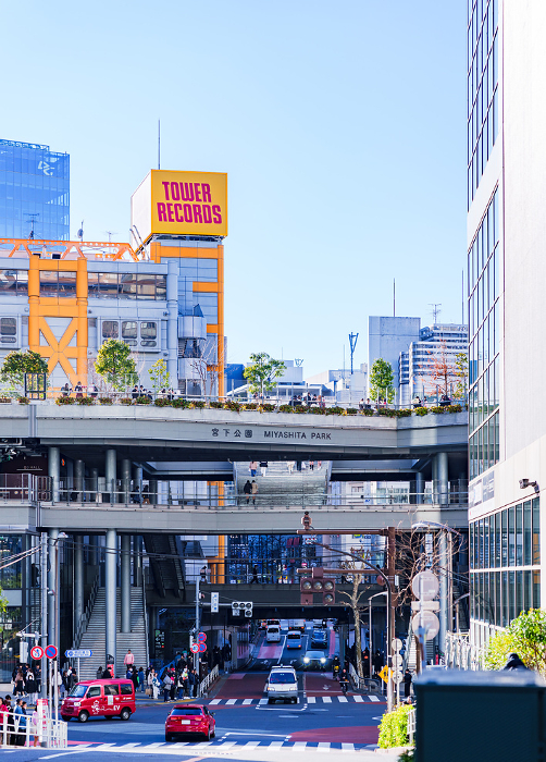 MIYASHITA PARK is a new spot in Shibuya, Tokyo.