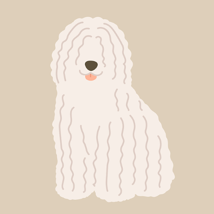 Illustration of simple and cute Komondor sitting without main line
