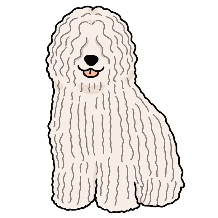 Illustration of simple and cute Komondor sitting with main line