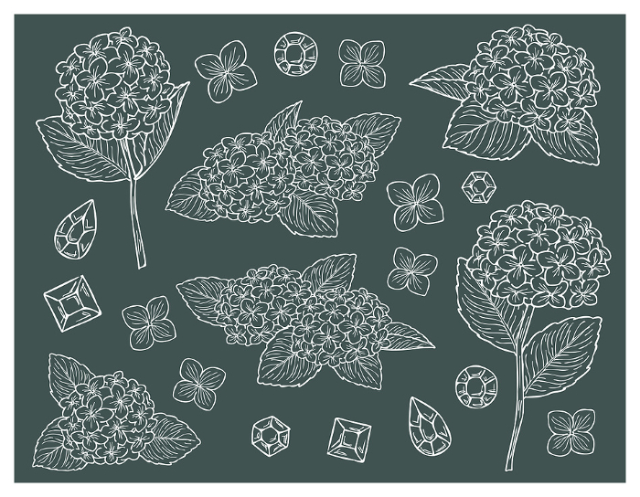 white line illustration set of hydrangea and jewel