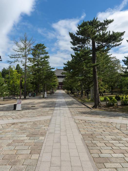 Scenery of the approach leading to the Great Buddha Hall of Todaiji Temple