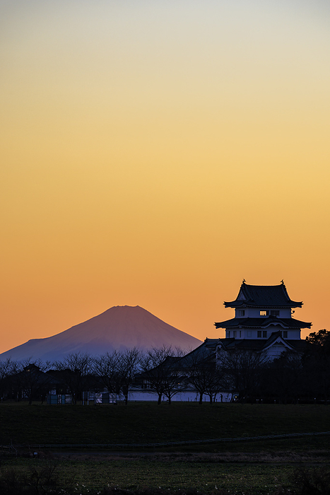 View of Sekijuku Castle and Mt. Fuji from Sakai-machi, Ibaraki Pref.
