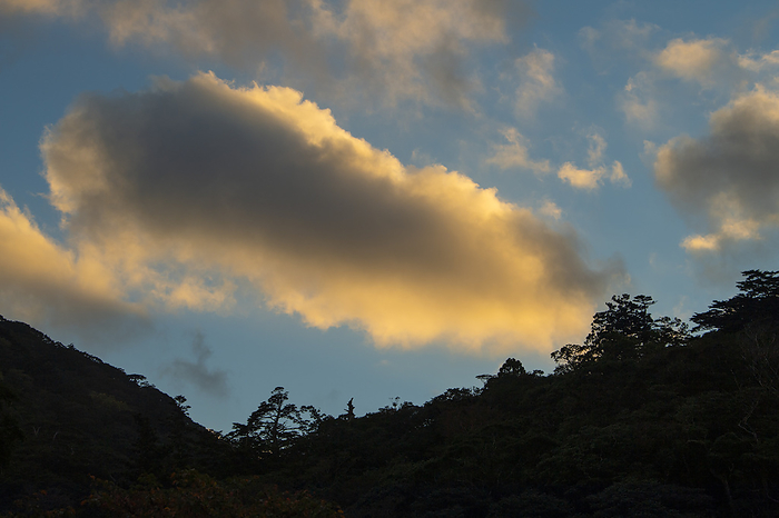 Sunset cloud Yakushima Island, Kagoshima Prefecture Taken at Shiratani Unsui Gorge, Yakushima, a World Natural Heritage site.
