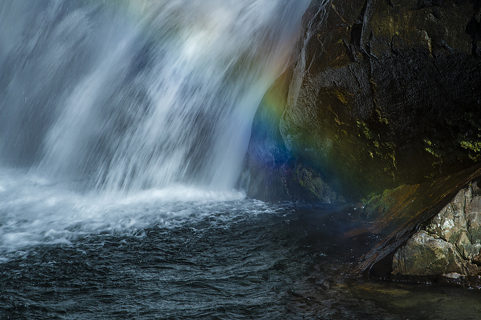 Okawa Falls and a rainbow Yakushima Island, Kagoshima Prefecture Photographed at the Western Forest Road, Yakushima, a World Natural Heritage site. A rainbow appeared in the waterfall basin of Okawa Falls  Okonotaki . The time was 10:51 a.m.