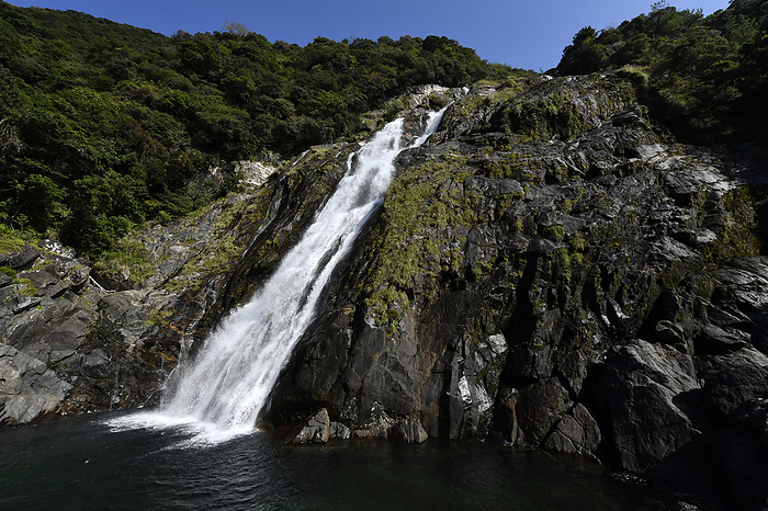Okawa Falls Kagoshima Prefecture Yakushima Island Taken at the Western Forest Road, Yakushima, a World Natural Heritage site. Okawa Falls  Okonotaki 