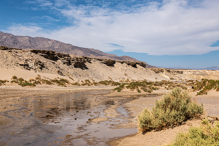 Salt Creek, Death Valley NP Salt Creek, Death Valley NP, by Zoonar Christoph Sch