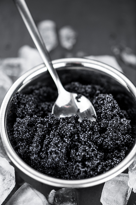 Black Caviar as detailed close up shot, selective focus Black Caviar as detailed close up shot, selective focus, by Zoonar Christoph Sch