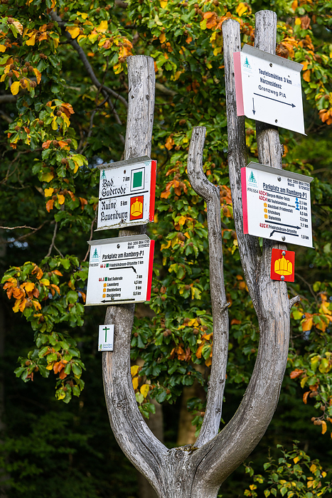 Sign tree signage hiking trails Bodetal Friedrichsbrunn Sign tree signage hiking trails Bodetal Friedrichsbrunn, by Zoonar Daniel K hne