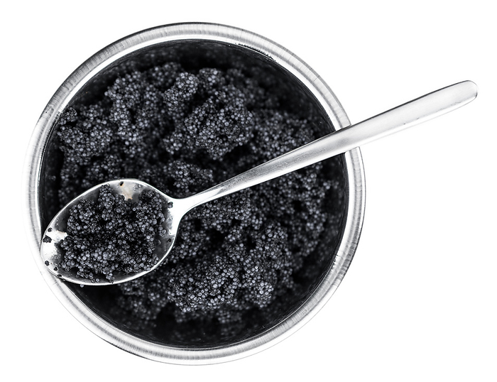Some Caviar isolated on white  selective focus  Some Caviar isolated on white  selective focus , by Zoonar Christoph Sch